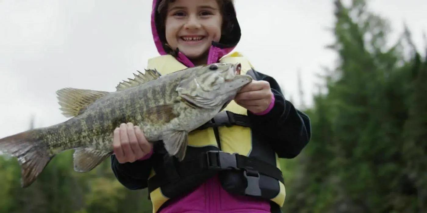 Best Time to Fish for Bass in Summer